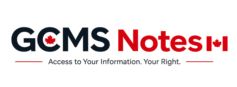 Visa Files Logo